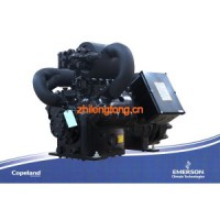 CSH6563-40/60比澤爾壓縮機(jī)