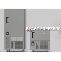 供應(yīng)意大利TECNOINOX速凍柜、海鮮低溫冷凍柜速凍機(jī)
